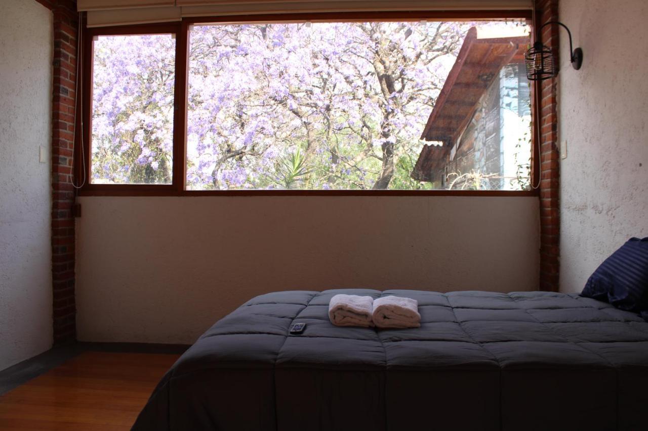 Casa Frida Coyoacan Mexico City Exterior photo